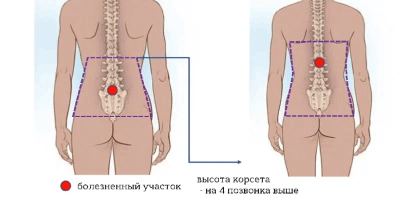 scale_1200 (2).png