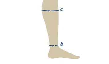 scale_1200 (1).jpg
